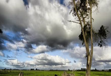 天涯社区：在人海中寻找共鸣