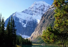 天涯论坛经济区探秘，老版社区经济热议新料