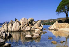 天涯社区：在人海中寻找共鸣